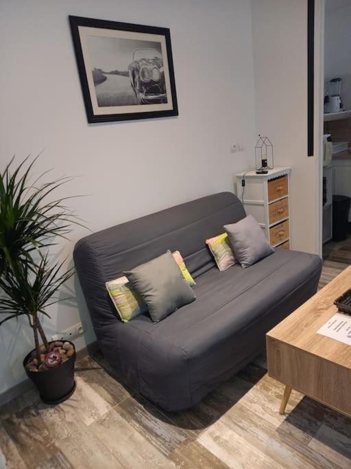 Cosy T2, Meuble De Tourisme 3 Etoiles, Parking Ferme , 2Velos, Wi-Fi Нарбонна Экстерьер фото